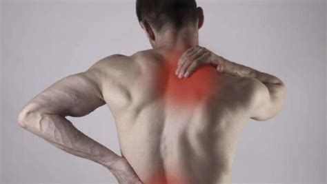 badan bagian belakang sakit
